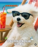 감성커피 포천송우중앙점