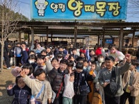 멘토인성태권도