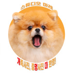 스튜디오마레