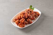 뉴숯불통닭딜리버리점