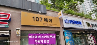 동월광고사