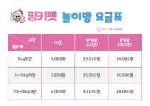 핑키펫 애견유치원&애견호텔