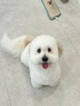 코트니룸