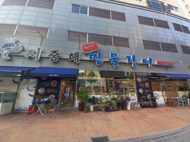 지중해자연산민물장어