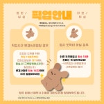 하이댕댕 애견놀이방&애견유치원&애견호텔