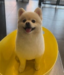 멍나들이