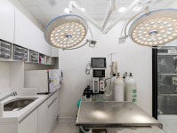 에이스동물병원