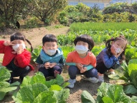 새미기픈믈유치원
