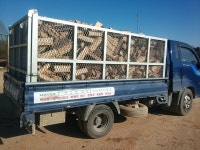 나무공장 참나무장작