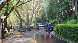 우리조경나무병원