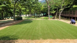 우리조경나무병원