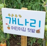 개나리어린이집