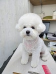 뽀독뽀독