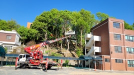 우리조경나무병원