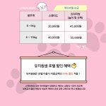 스마트독
