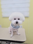 히히그루밍