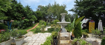 나래게코 파충류샵