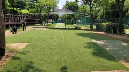 우리조경나무병원