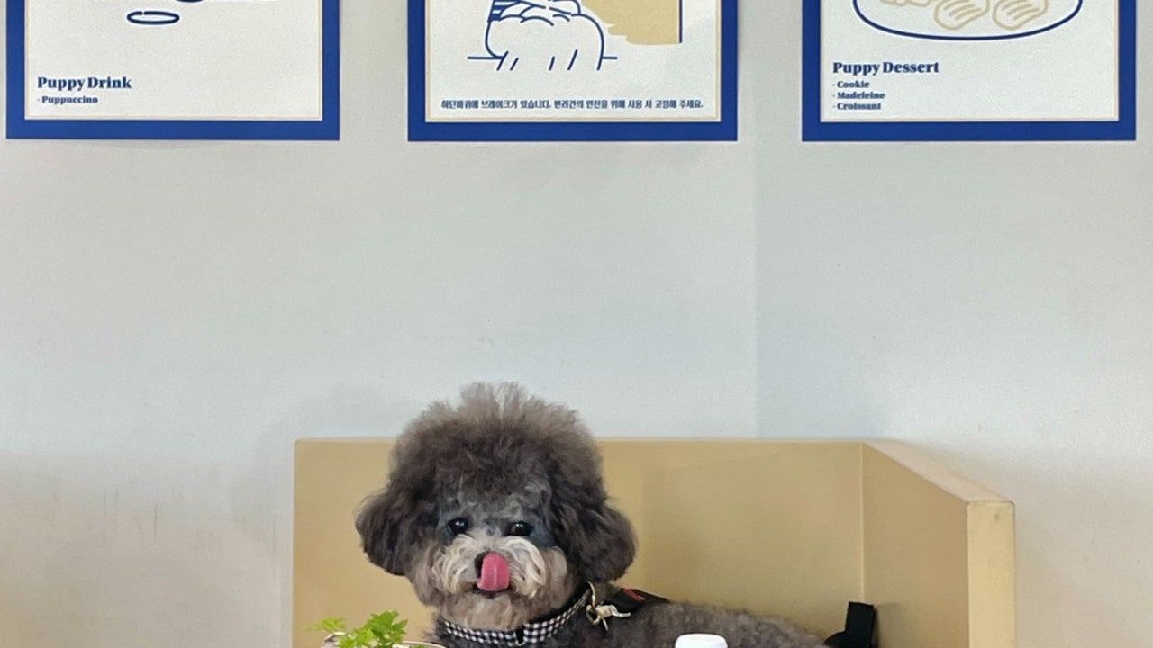 세가지