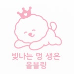 올블링 펫부티끄 올블링펫살롱 애견호텔