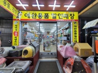도그버디 청주점