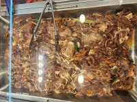 영해정육점
