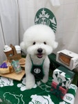 젤리펫살롱with아로마