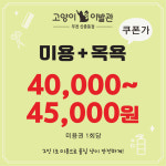 고양이이발관 부천신중동점