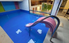 힐링온천스포렉스