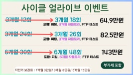 얼라이브 사이클