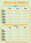 멍라운지24 데이케어 애견미용호텔 애견카페 인천점