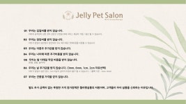 젤리펫살롱with아로마