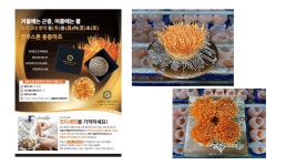 벨루스톤힐링카페 광주점