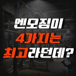 엔오짐 헬스 PT 아주대점