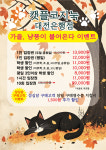 캣플코지눅 대전은행점