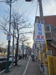 천계심보살