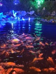 천강수산