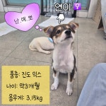 멍글멍글