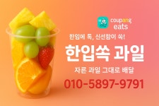 한입쏙과일