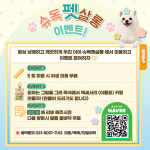 슈독펫살롱