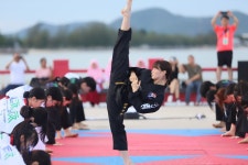 한국체대바른태권도 & 실전성인태권도