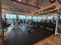 짐케이 더 블랙