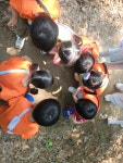 시냇가 푸른나무유치원