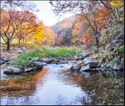 드리밍하우스펜션