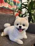 랄라몽