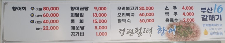 정관펄떡향어회