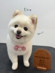 멍발소하우스