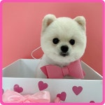 [석현동]몽개구름