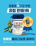 댕댕몽띠끄