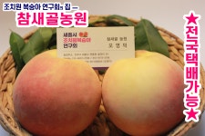조치원복숭아 참새골농원